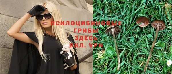 синтетический гашиш Алексин