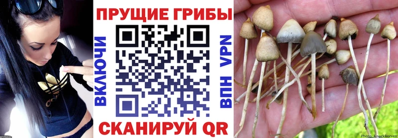 Галлюциногенные грибы MAGIC MUSHROOMS  Аша 